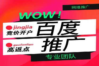 信息流广告代理案例对比分析